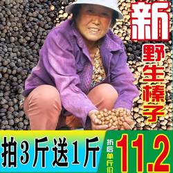2025新货野生榛子铁岭开原东北特产新鲜手拍中小果炒熟水漏包邮