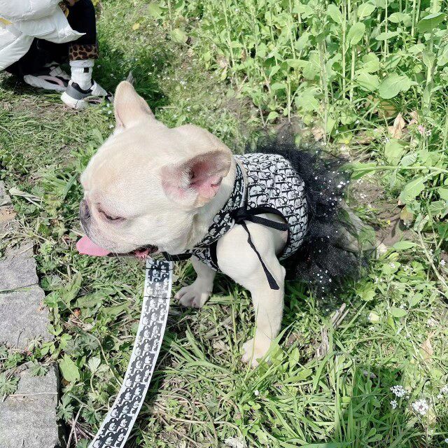 法斗潮款狗狗衣服黑白字母狗狗衣服小狗衣服蕾丝背心裙可爱