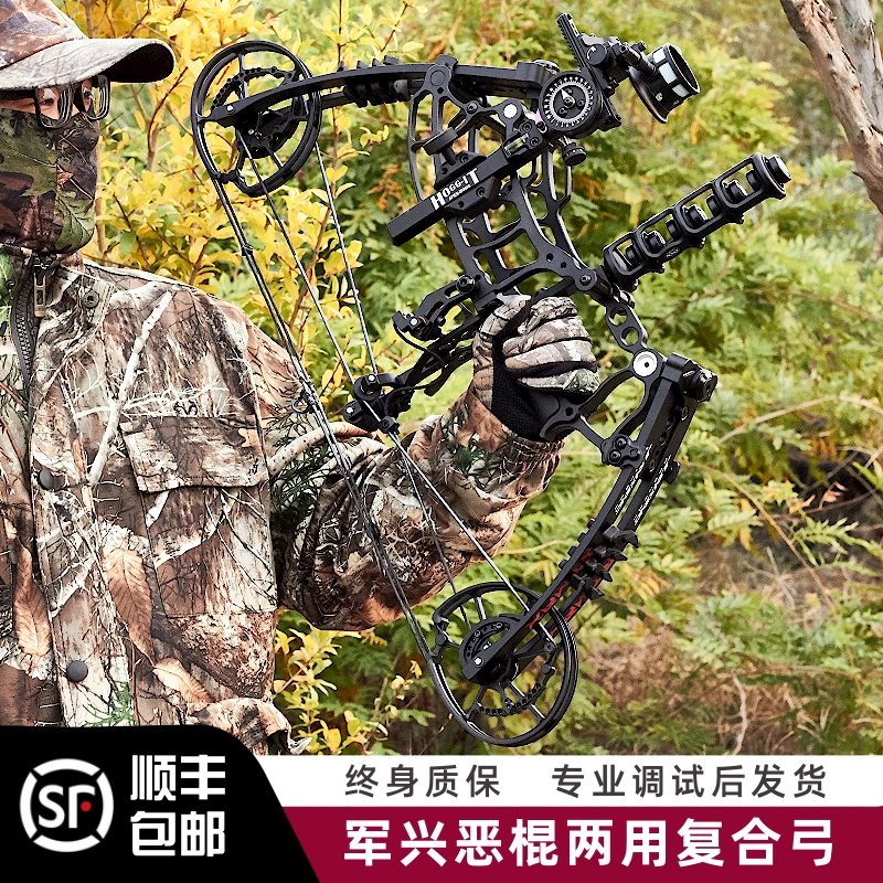 两用恶棍军兴军兴恶棍