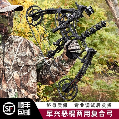 两用恶棍军兴军兴恶棍