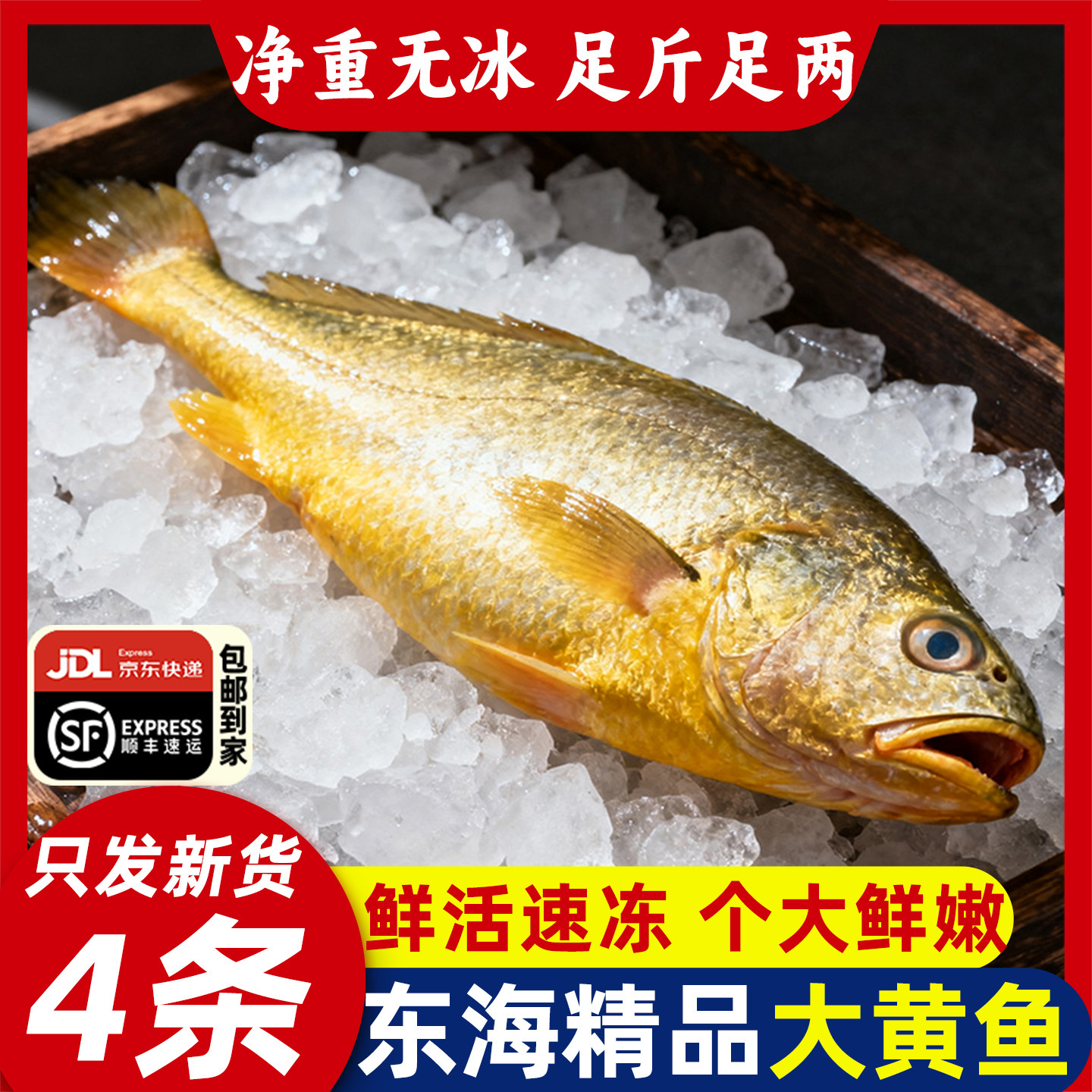 新货大号黄花鱼新鲜冷冻黄鱼鲜活生鲜水产东海深海鱼黄鱼鲞小黄鱼