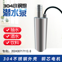 小能豆304不銹鋼潛水泵