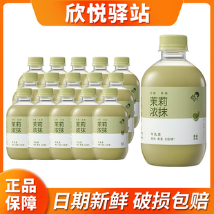 【新品】喜茶茉莉浓抹牛乳茶/小奶茉牛乳茶奶茶350ml*15瓶箱包邮