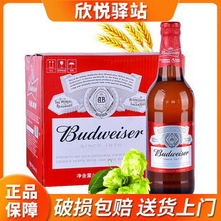 玻璃瓶黄啤酒京津冀 Budweiser 百威啤酒460ml 12瓶整箱装 包邮