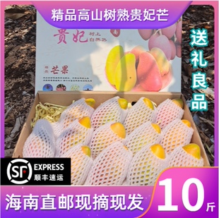 海南三亚树上熟贵妃芒礼盒装红金龙芒鲜水果芒果带箱5斤顺丰包邮