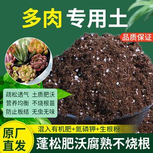 多肉专用土养花营养土花盆家用室内有机肥料种花泥土壤通用绿植土