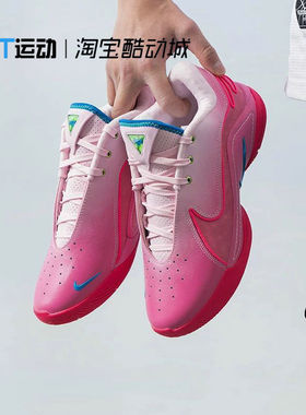 Nike/耐克 篮球鞋 LEBRON XXII EP 舒适低帮男鞋运动鞋FZ1095-001