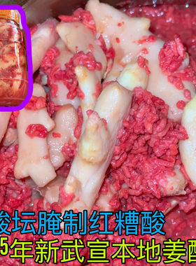 广西武宣特产红糟酸一瓶包邮