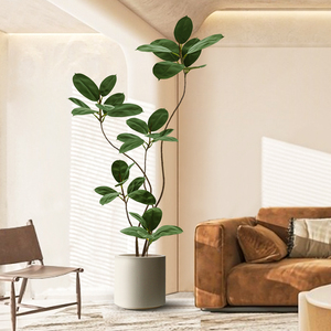 客厅落地摆件电视柜旁高端轻奢仿真橡皮树入户玄关黑金刚装饰摆件