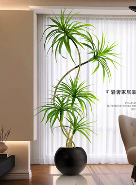 轻奢客厅装饰龙血树大型盆栽
