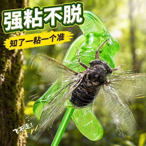 【夏日必备粘知了神器】