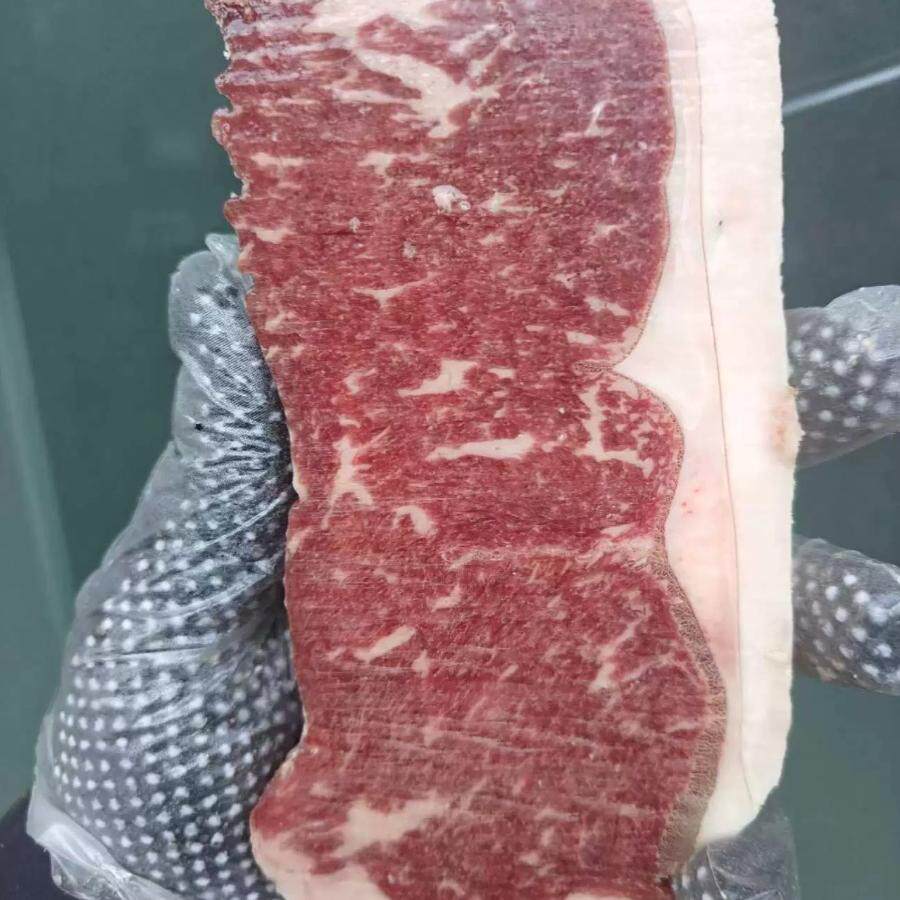 西冷m0～5 谷饲120～200天 纯血黑安格斯 乌拉圭进口 牛排 牛肉