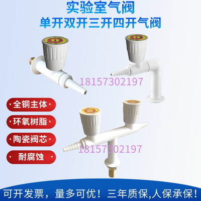 气体考克单开双开三开四开壁式立式供气终端阀门 气路开关全铜RWD