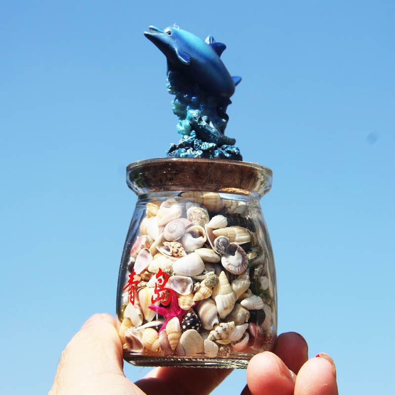 青岛纪念品真贝壳无染色可看货超小贝壳海螺 海胆标本许愿瓶组合