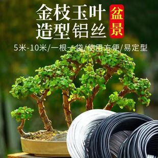 金枝玉叶造型用铝丝软铝线盆景制作整形蟠扎盘扎枝条定型diy园艺
