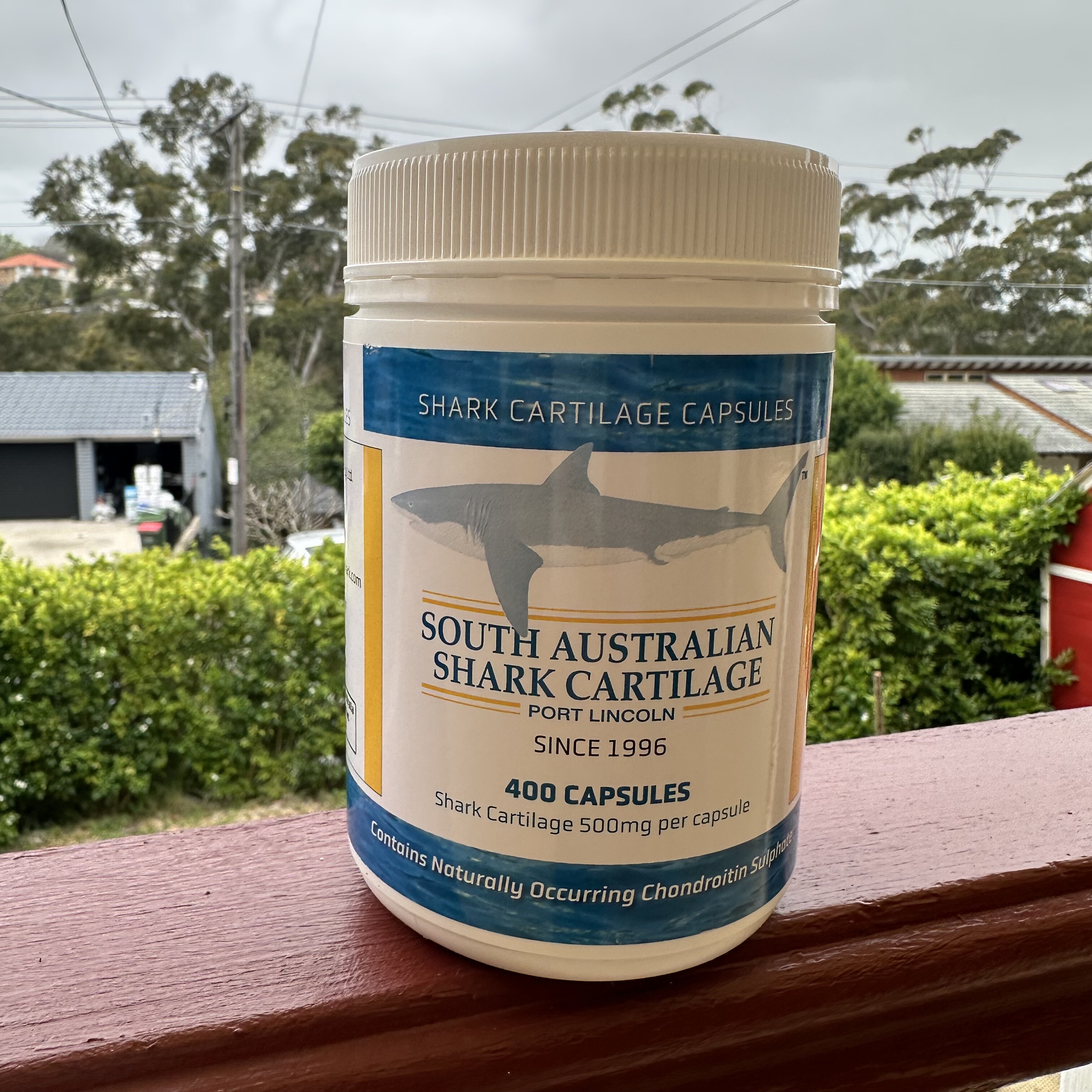 澳洲直邮高鲨鱼软骨素