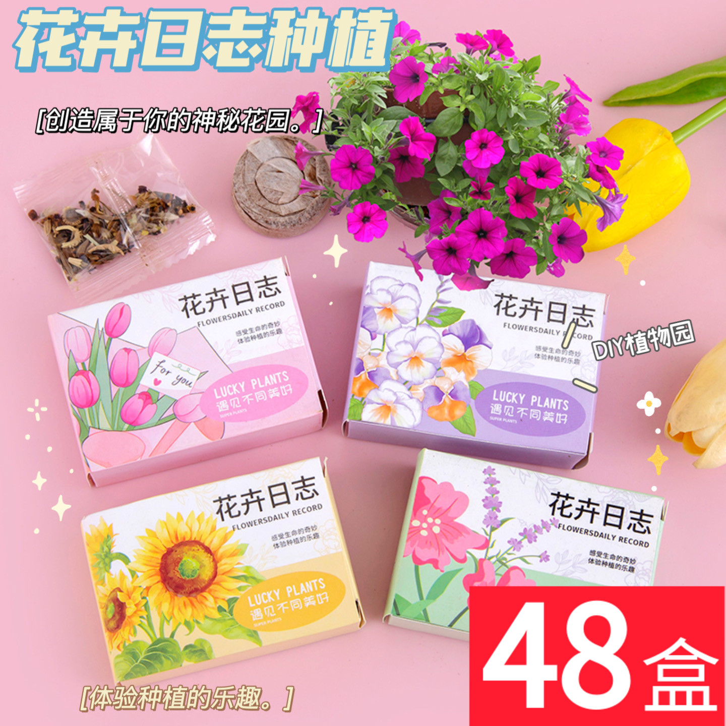 花卉种植盲盒生日小礼物分享全班