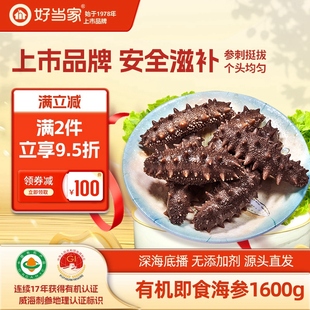 好当家即食海参1600g 20头7年参龄冷冻有机刺参年货礼盒3.2斤海鲜