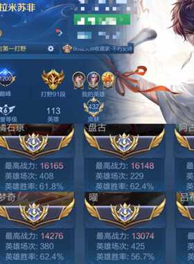 王者荣耀号租巅峰超值456皮V10巅峰91段打野历史8大国标满兔年画