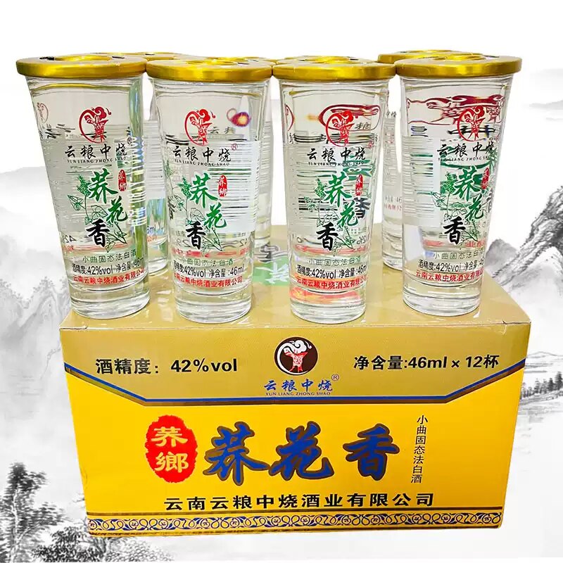 云南荞郷荞花香酒云粮中烧 小荞酒 苦荞42度 46mlX12杯纯粮小酒