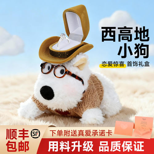 实用高级感精致创意浪漫惊喜仪式感珠宝首饰