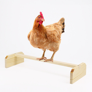 鸡站架栖息站棒站杆鸡站架木制三角形宠物鸡站架大公鸡母鸡栖息架