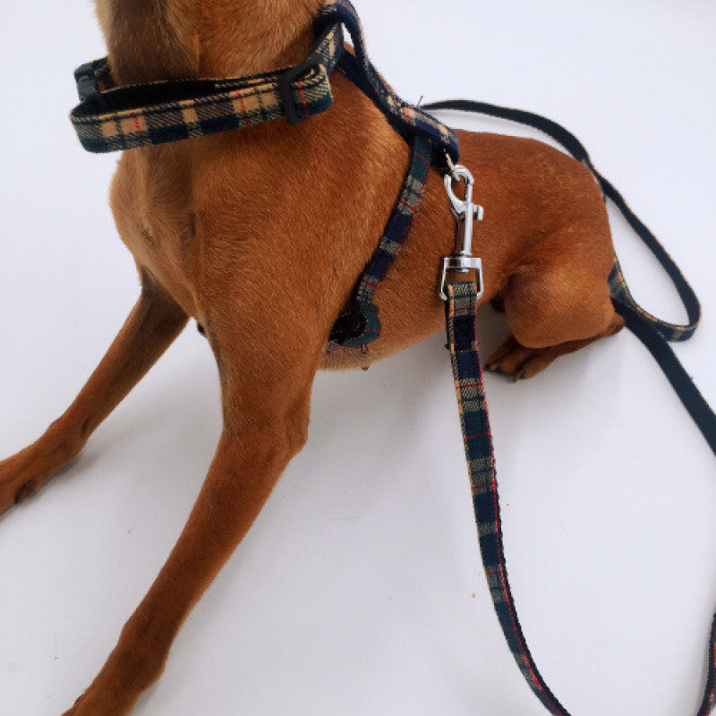 猫咪背带牵引绳544032