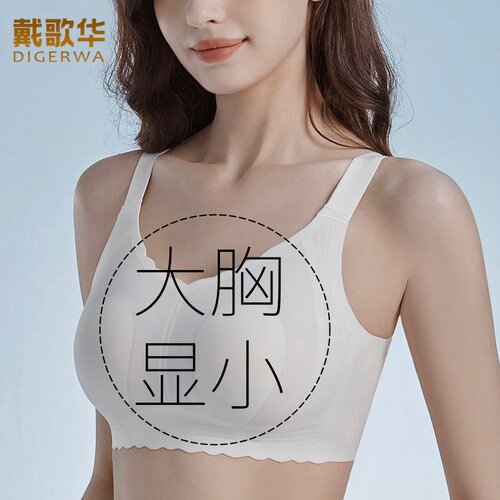 轻薄大胸显小胸聚拢无钢圈文胸女