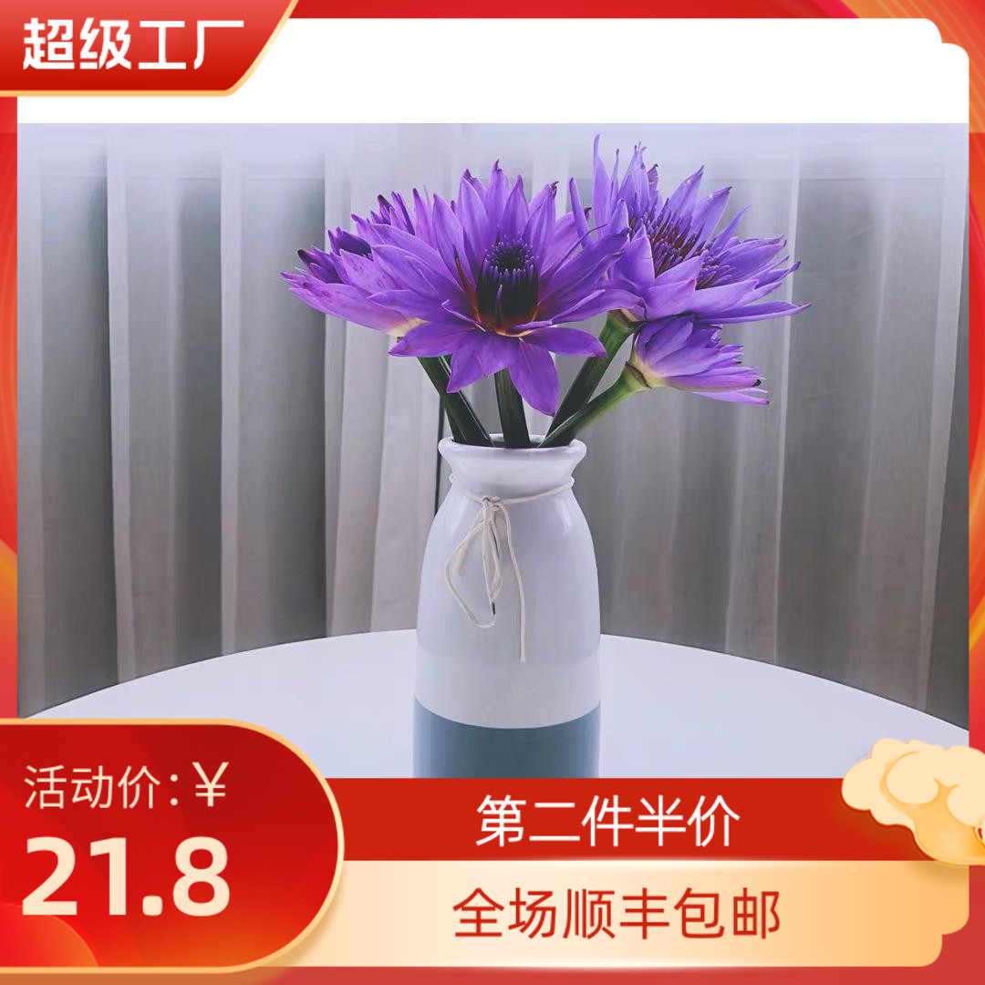 睡莲鲜花花束价格 睡莲鲜花花束图片 星期三