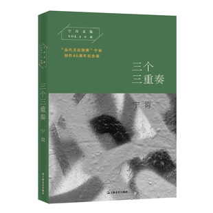 现代 正版 宁肯文集宁肯上海文艺文学 当代文坛刺客宁肯创作40周年纪念版 当代文学纸质书籍 图书三个三重奏