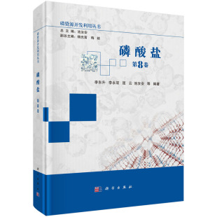 正版图书磷酸盐李东升等科学出版社化学工业纸质书籍