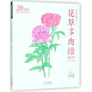 新 工艺美术 纸质书籍 图书色铅笔温情手绘：花草多肉绘黄超天津人美艺术 正版