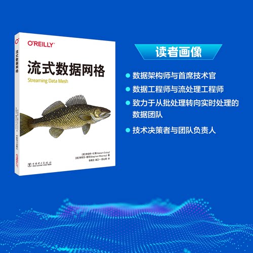 正版图书流式数据网格[美]休伯特·杜莱(Hubert Dulay) [美]斯蒂芬·穆尼(Stephen Mooney) 著中国电力出版社