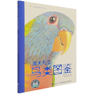 绘画 迈特·淳现代教育 儿童科普成长系列责编 译者 姚永然 刘瑶 精 魏星 澳 正版 语言桥 图书澳大利亚鸟类图鉴