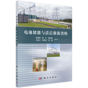 滕云 葛延峰 王顺江 正版 农业技术 葛维春 李家珏等科学工业 能源与动力工程纸质书籍 图书电池储能与清洁能源消纳编者