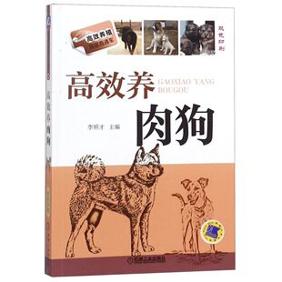 图书养肉狗 教材 双色印刷 李顺才机械工业 大学教材纸质书籍 养殖致富直通车编者 正版
