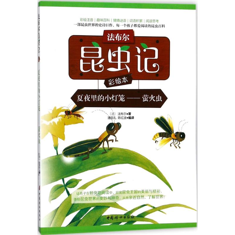 正版图书夏夜里的小灯笼(法)法布尔 著;潘昌礼,陈红波 编译中国妇女出版社儿童读物/童书/科普百科纸质书籍