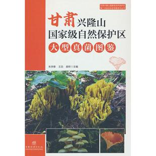 正版图书甘肃兴隆山自然保护区大型真菌图鉴(精)朱学泰中国林业出版社书籍\/杂志\/报纸/自然科学/科普读物/植物纸质书籍