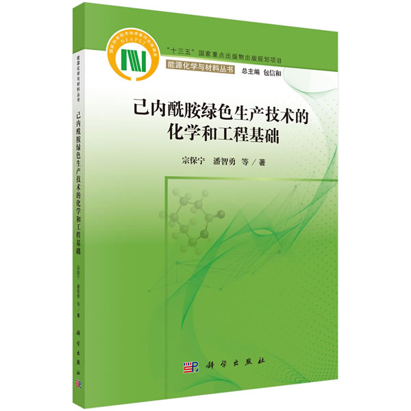 正版图书己内酰胺绿色生产技术的化学和工程基础宗保宁等科学出版社书籍\/杂志\/报纸/工业/农业技术/化学工业纸质书籍图片