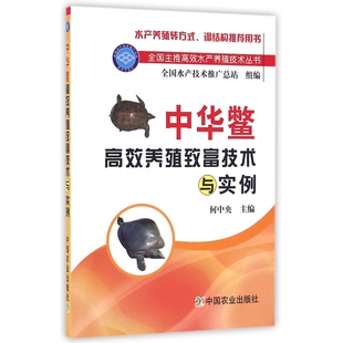 何中央 总主编 畜牧 图书中华鳖养殖致富技术与实例 养殖 农业 全国主推水产养殖技术丛书编者 农业技术 正版 高勇中国农业工业