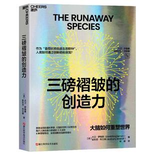 美 创造力 大卫·伊格曼 安东尼·布兰德 杨婧浙江科技纸质书籍 正版 译者 图书三磅皱褶