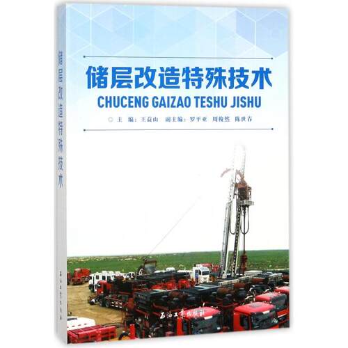 正版图书储层改造特殊技术王益山 编石油工业出版社书籍\/杂志\/报纸//教材/教辅//考研（新）纸质书籍