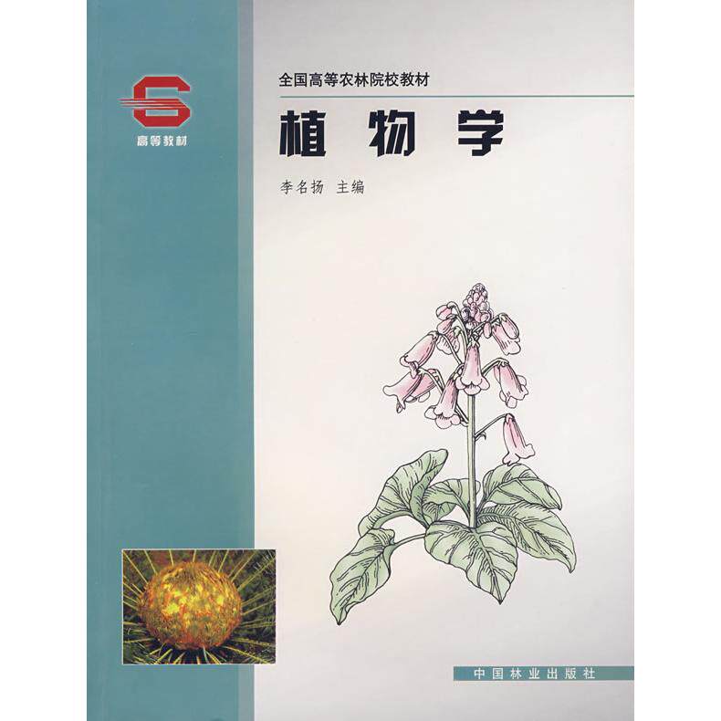 正版图书模拟电子技术及应用第2版熊伟林 主编机械工业出版社工业技术纸质书籍