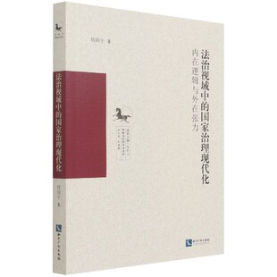 法律知识读物纸质书籍 治理现代化：内在逻辑与外在张力钱锦宇知识产权法律 正版 图书法治视域中