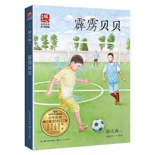童书 社儿童读物 儿童文学纸质书籍 图书霹雳贝贝张之路长江文艺出版 正版