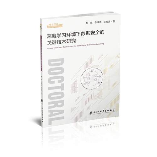 正版图书深度环境下数据安全的关键技术研究郝猛，李洪伟，陈涵霄 著电子科技大学出版社计算机/网络/计算机软件工程（新）