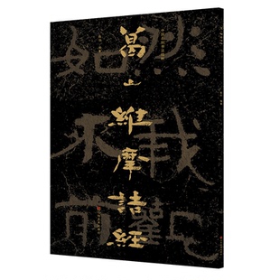 正版图书葛山维摩诘经赖非山东美术出版社艺术/书法/篆刻/字帖书籍纸质书籍