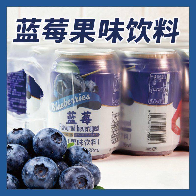 云南特产蓝莓果味饮料酸甜罐装整箱饮品年货果汁整箱
