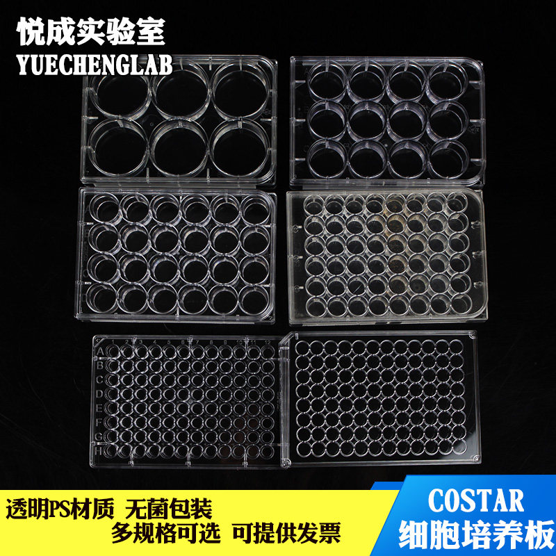 Corning 康宁 细胞培养板细菌菌体培养板6/12/24/48/96孔培养板酶标板独立包装图片