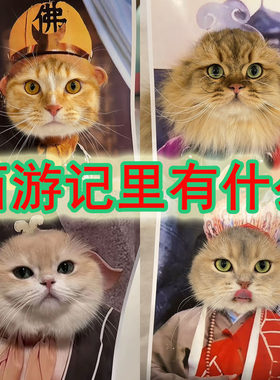 西游记系列动物园里有什么装饰画